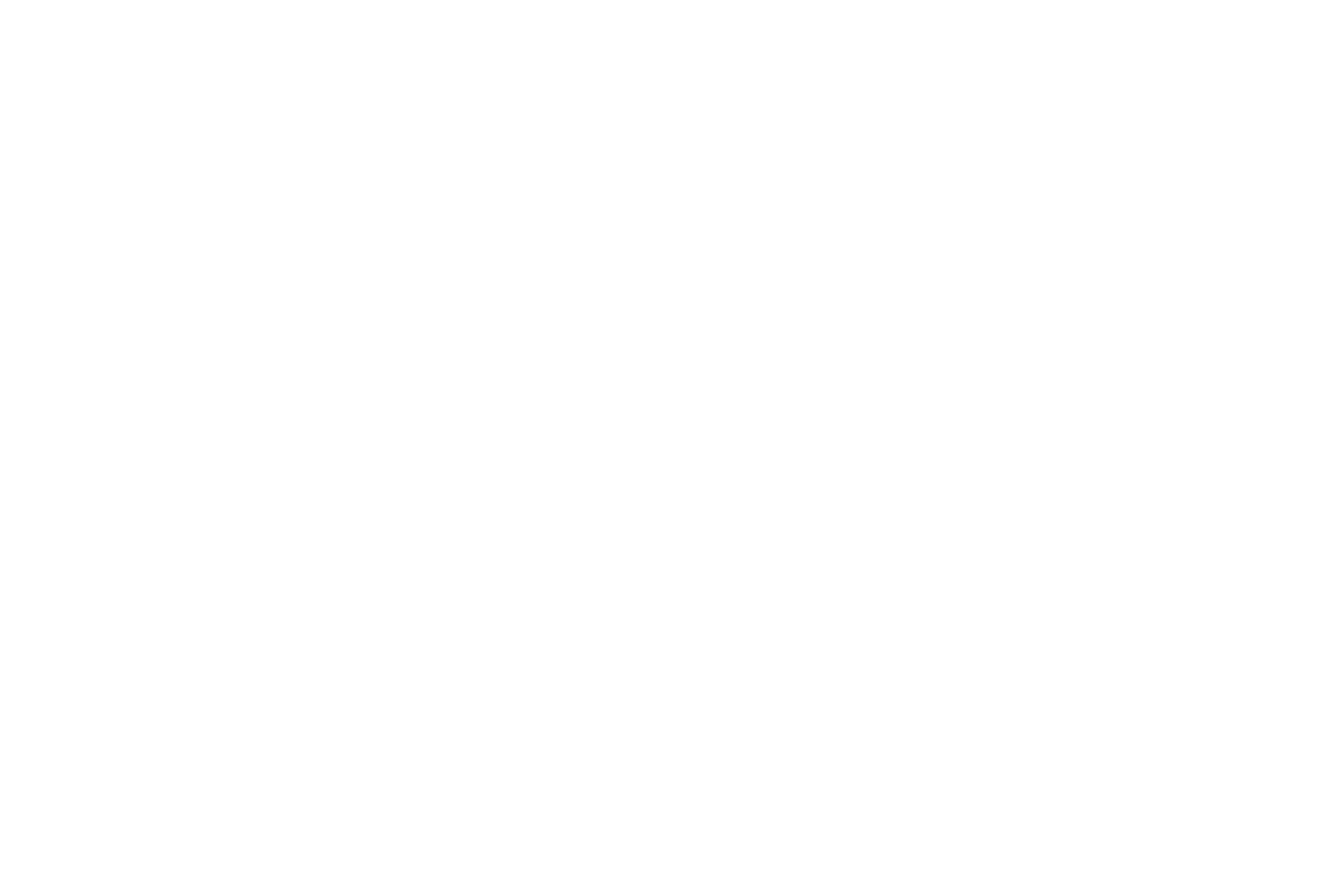 Down To Earth Dog Lady 