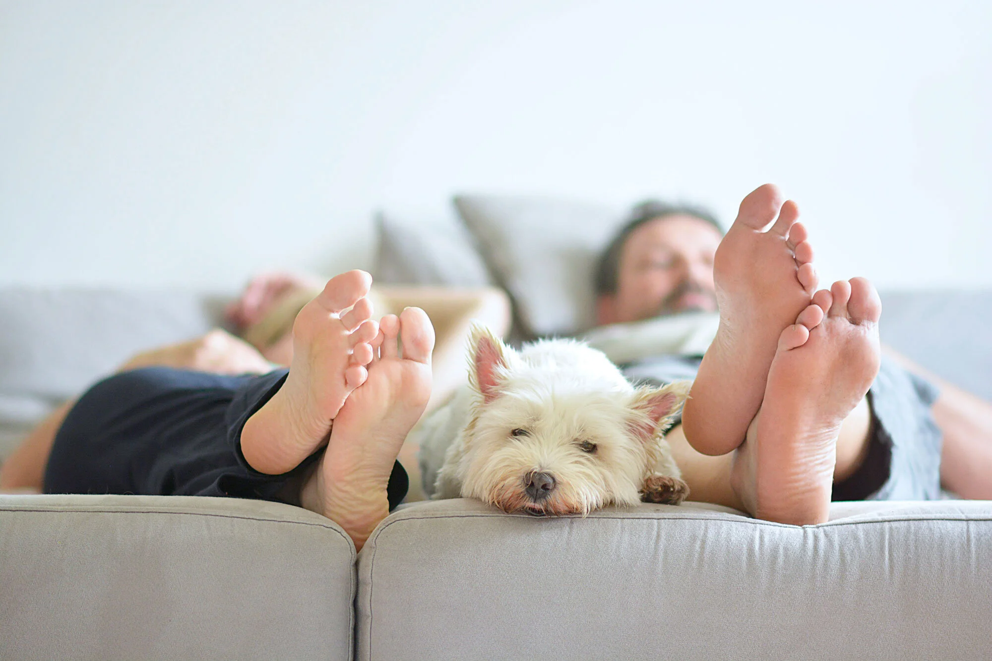 iStock-1022420624web.jpg