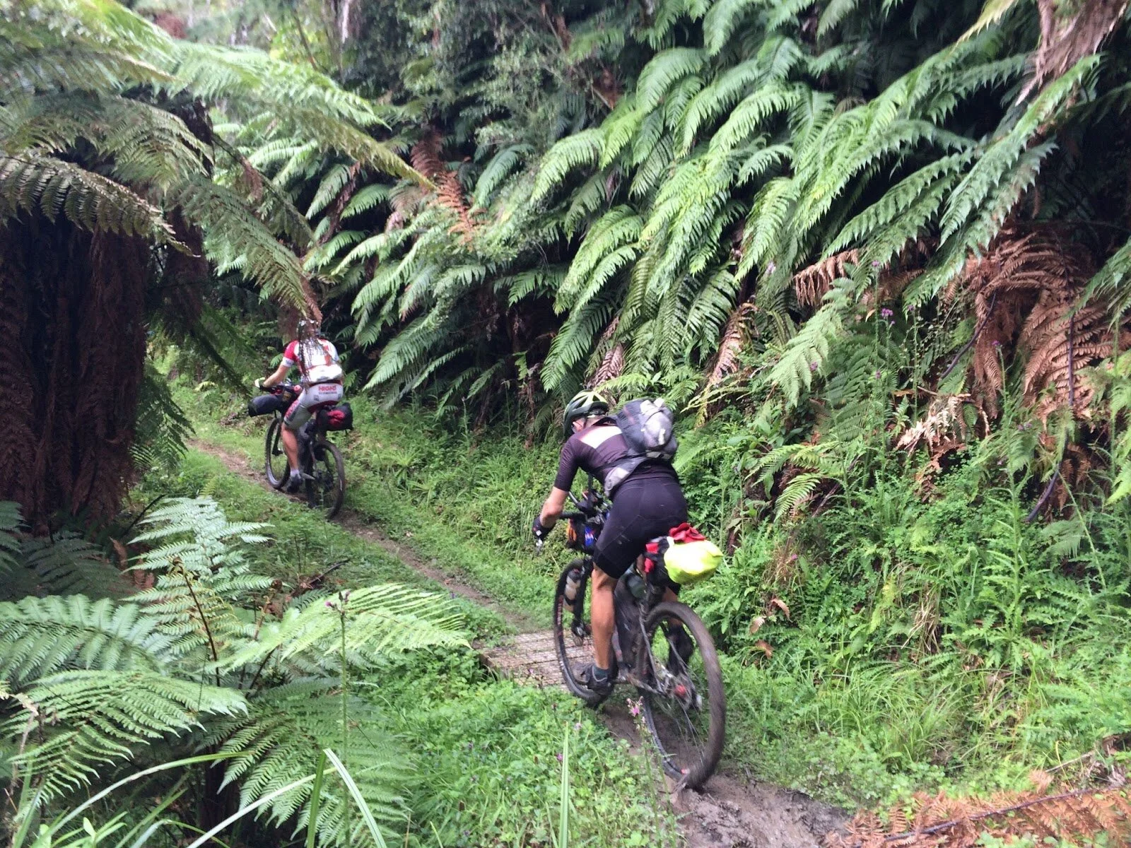 Hunua Trail