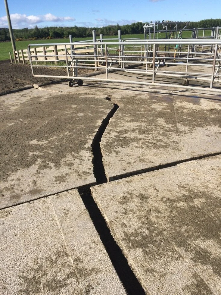 River Road Dairy Shed Replacement