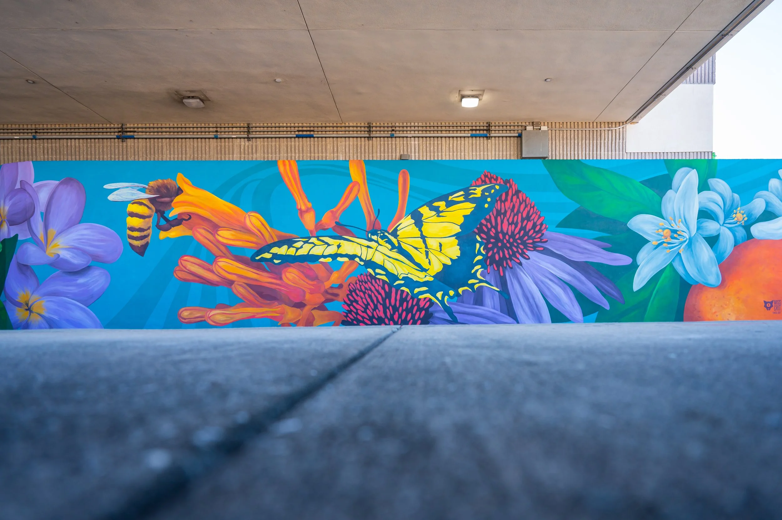 PIE Murals -3919.jpg