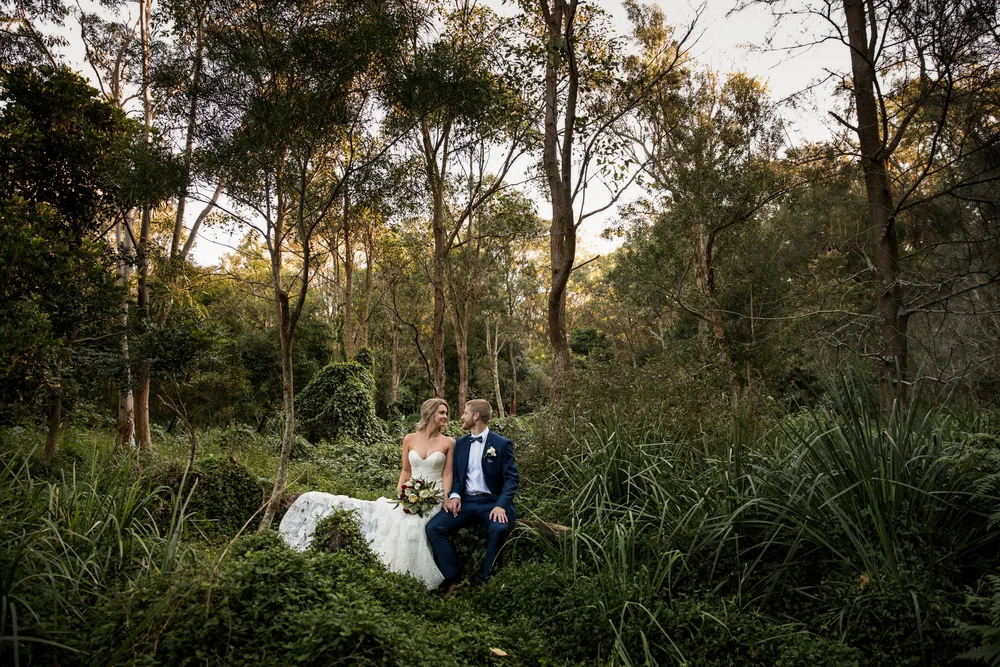 A quiet forest portrait