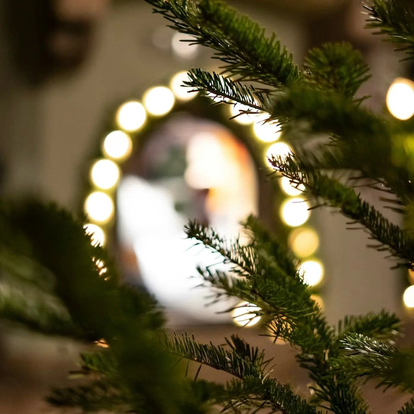 Bringing Your Projects to Life Before Christmas: Why Now Is the Time to Get It Done ⬇️ 

Christmas shutdowns are coming up fast, and now is the perfect time to bring your projects to life before the year wraps up. If you want to hit the ground runnin