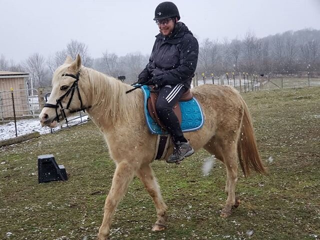 I rode a horse today!!!
-
-
-
#music #beautifulsounds  #makemusic #GetFluent #oberlin #crandallmusic