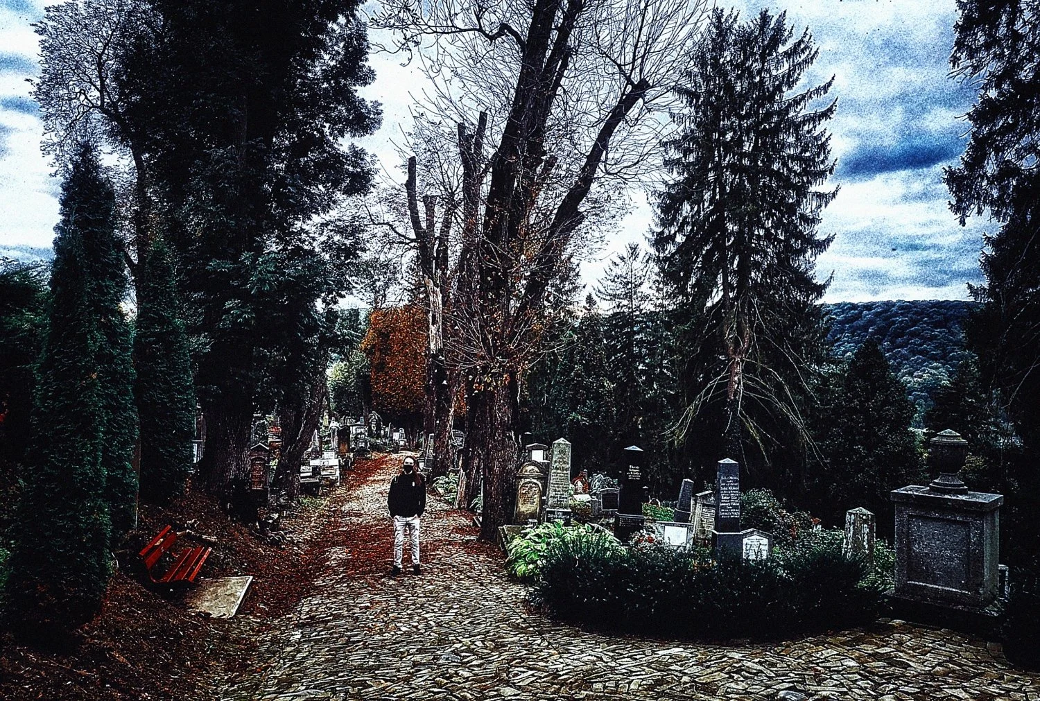 1-SIGHISOARA (42)_WEB.jpg