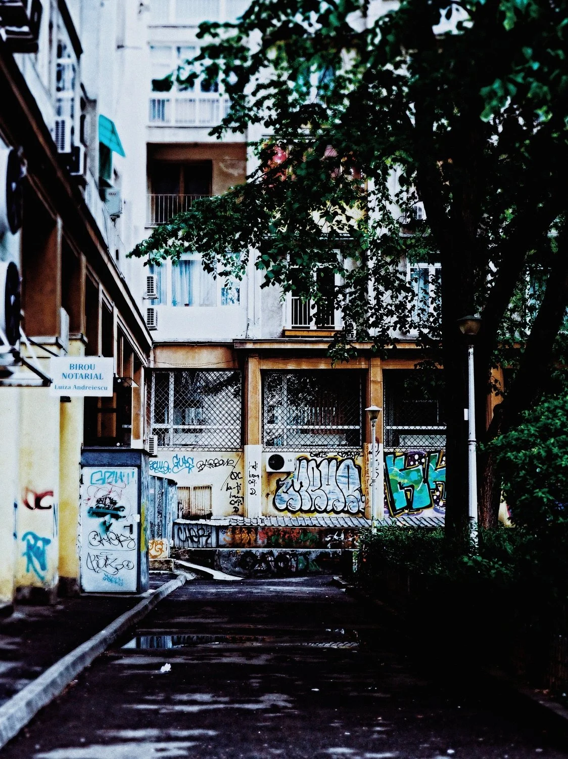 2-BUCHAREST-2017 (38)_WEB.jpg