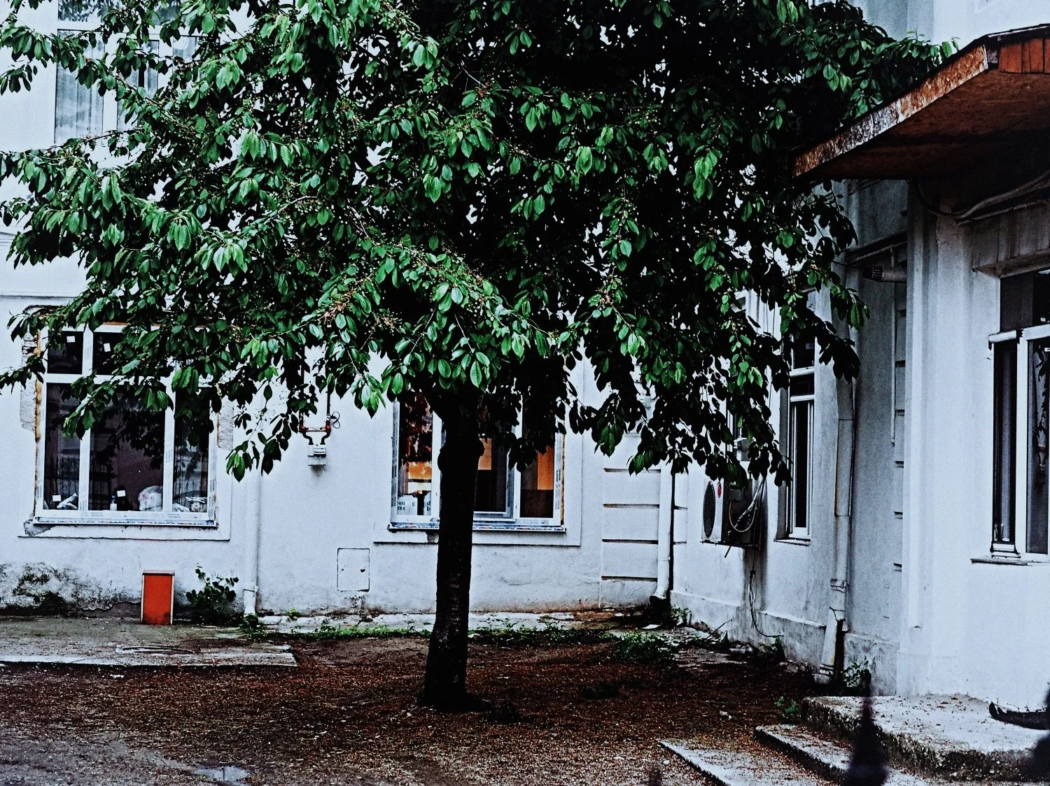 2-BUCHAREST-2017 (28)_WEB.jpg