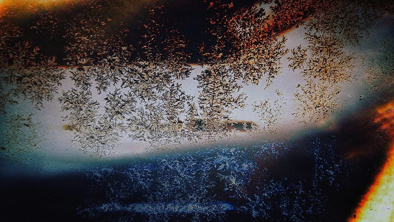 putrid space © Alexandra Crisbășan