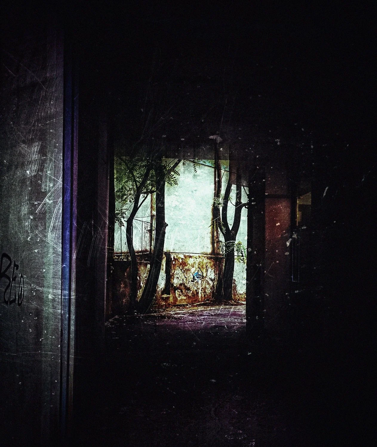 Dark hallway leading to an outdoor area with trees and a weathered, rusted wall.
