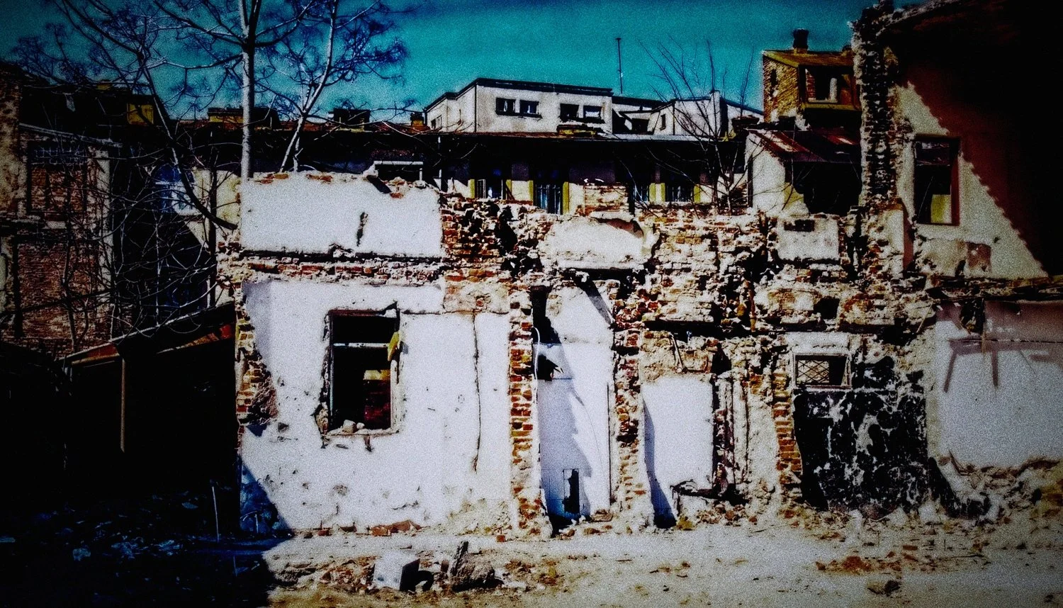 putrid space © Alexandra Crisbășan
