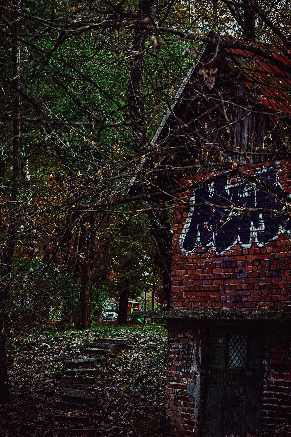 putrid space © Alexandra Crisbășan