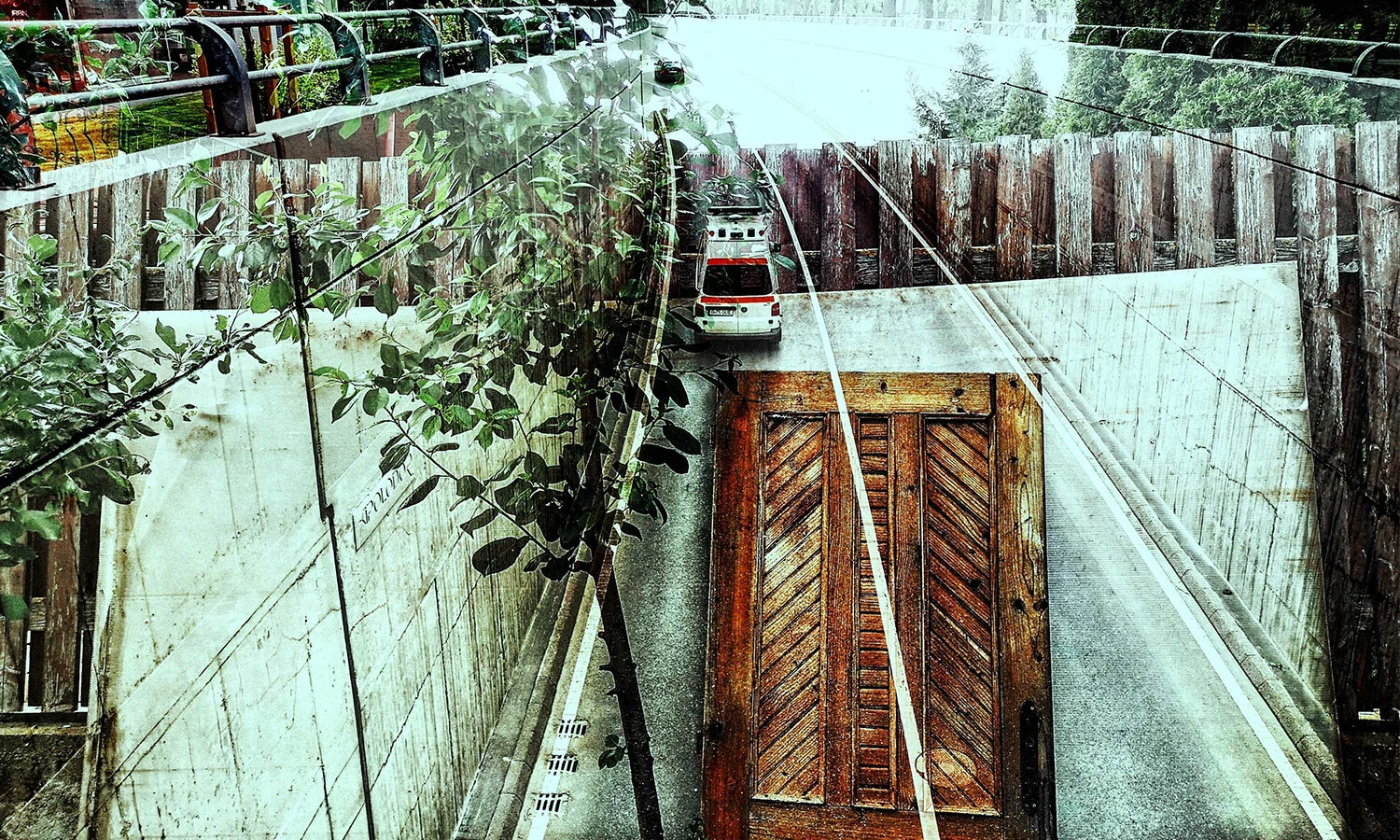 shelter-in-place-cover2.jpg
