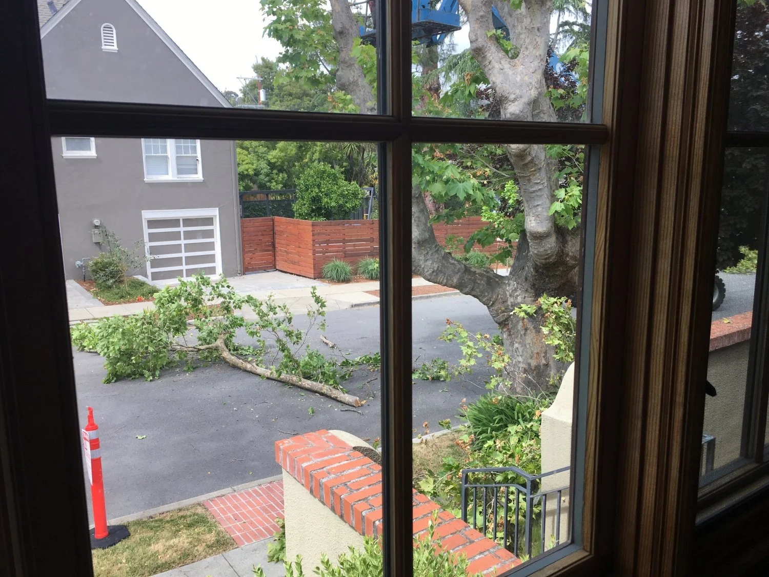 Enterntainment outside the window_WEB.jpeg