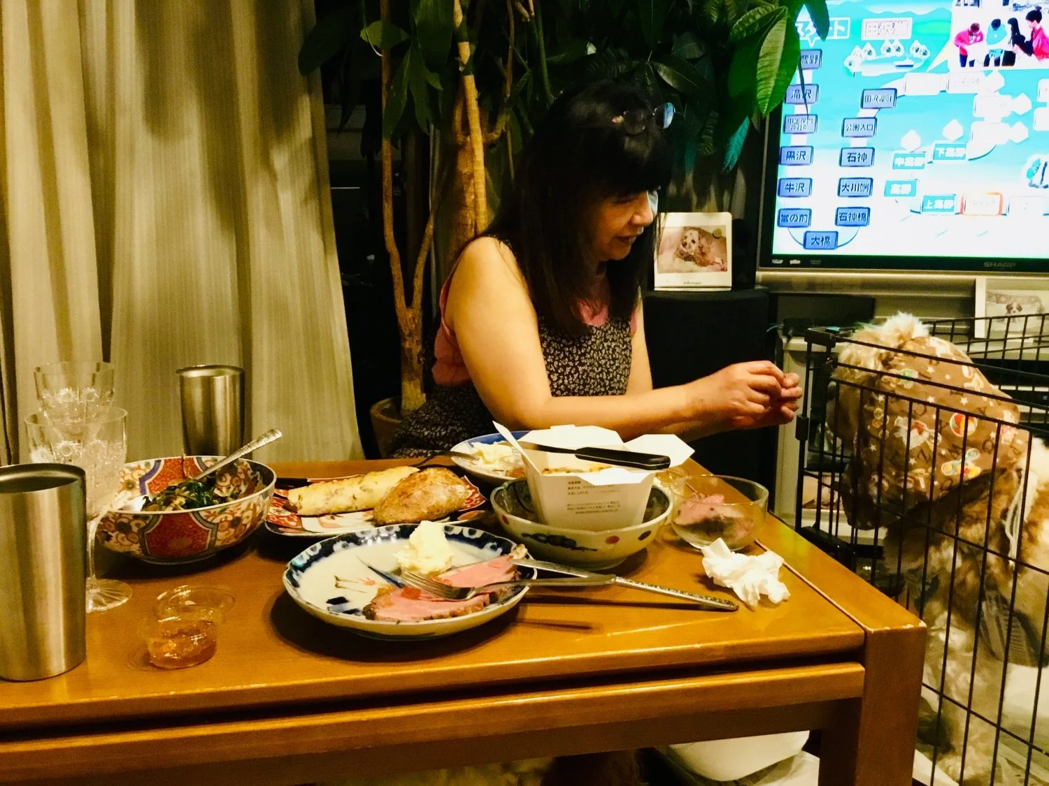 feeding dogs_WEB.jpeg