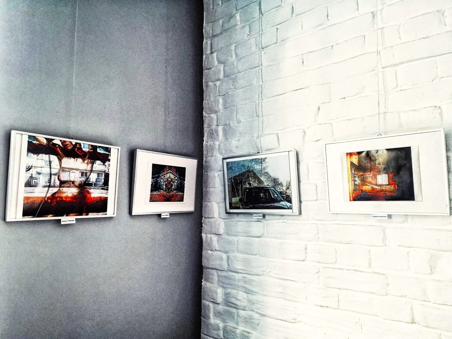 Wallachia Int'l Film Festival