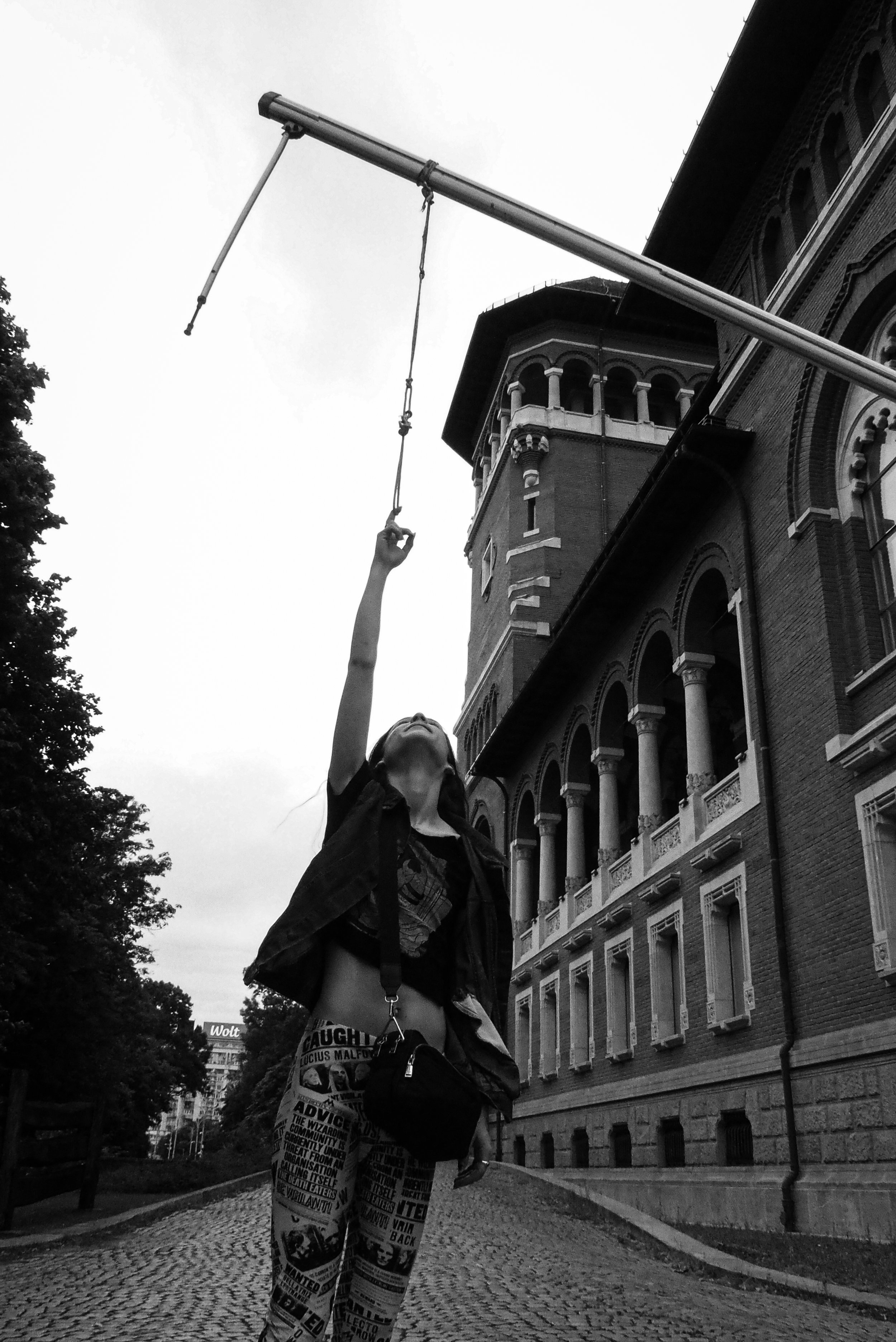 P1010017.jpg