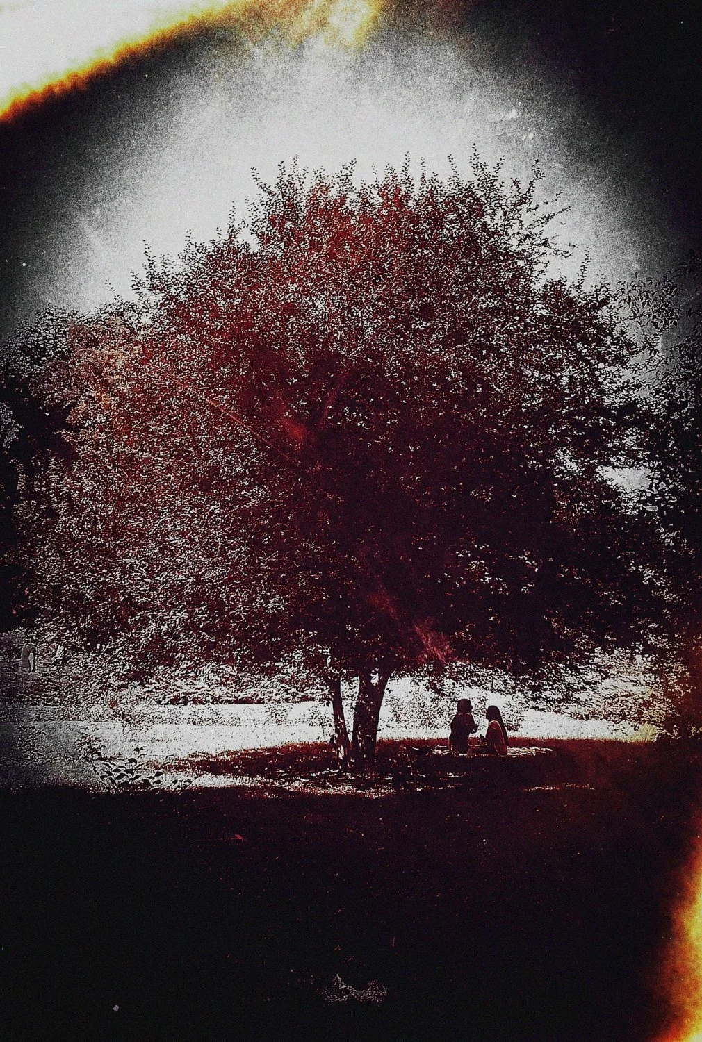 putrid space © Alexandra Crisbășan