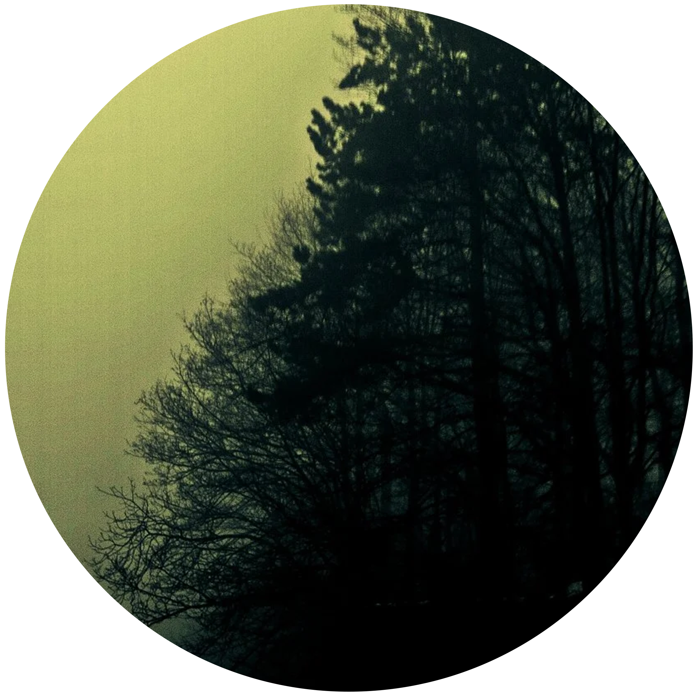MISTY MOUNTAINS