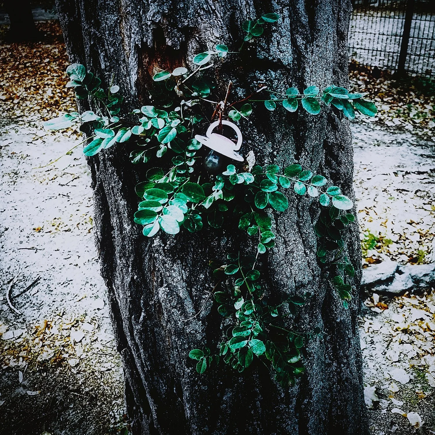 II-BERLIN (4)_WEB.jpg