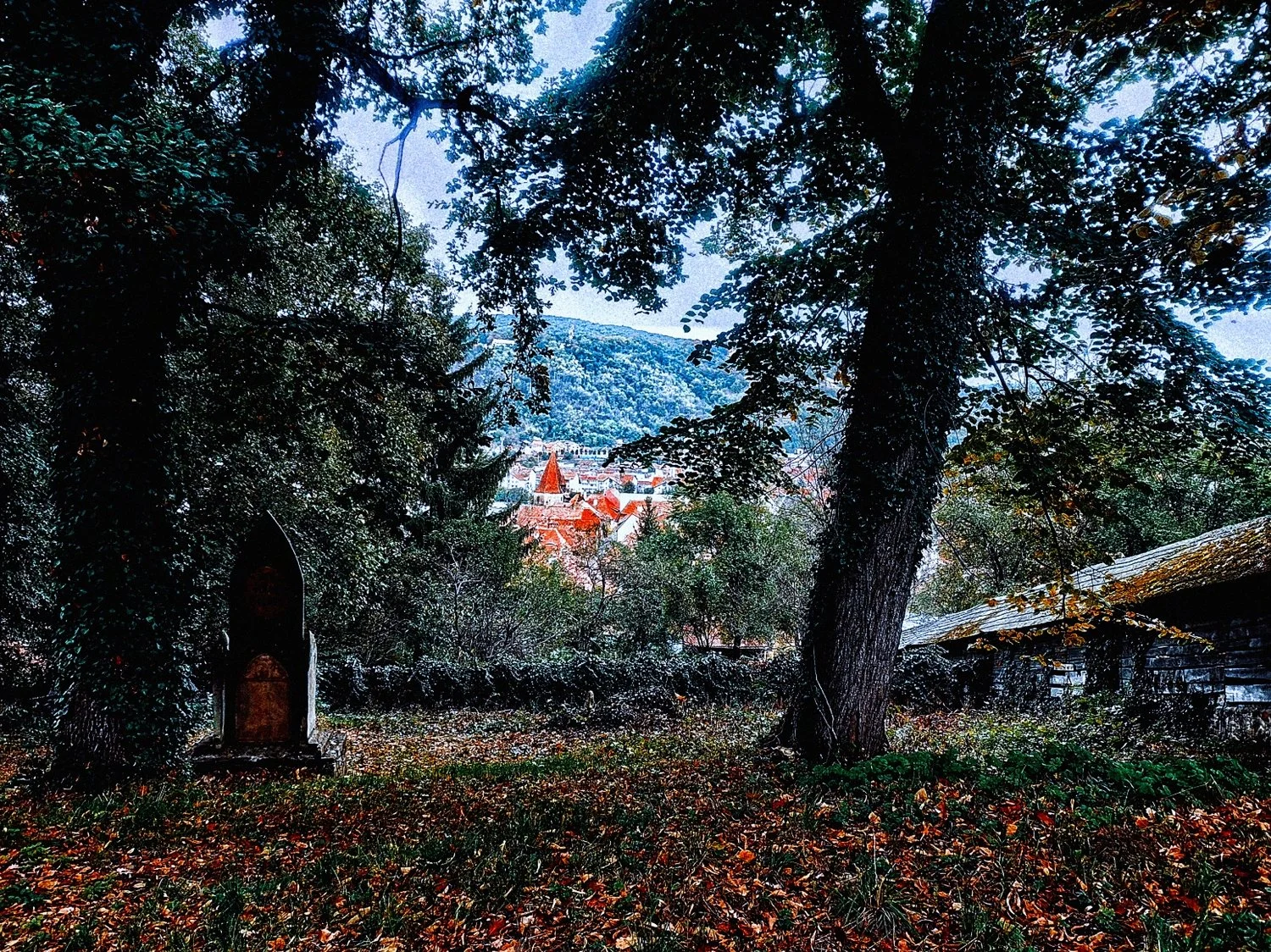 1-SIGHISOARA (29)_WEB.jpg