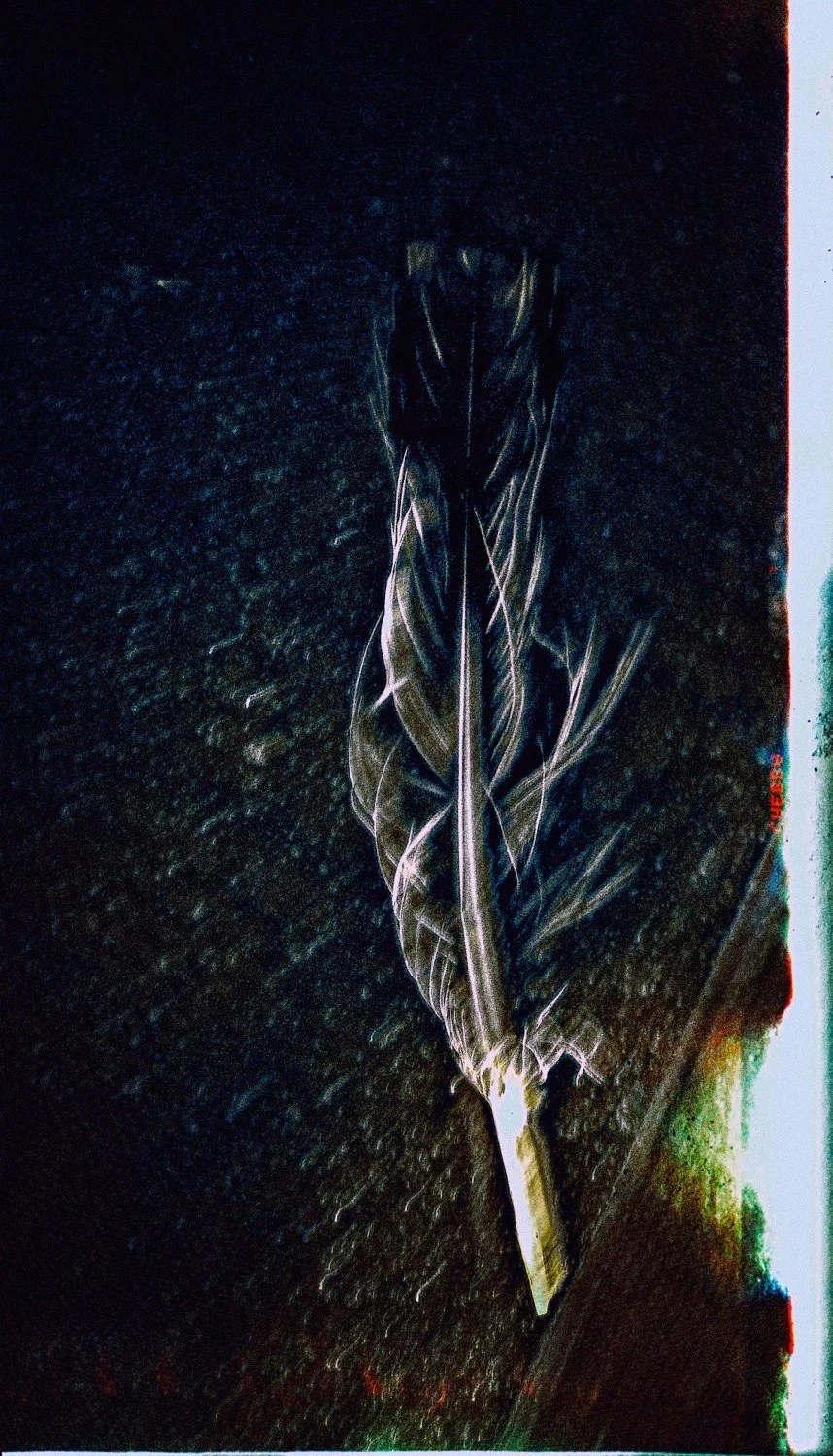 1-VICTIMS-2013 (17)_WEB.jpg