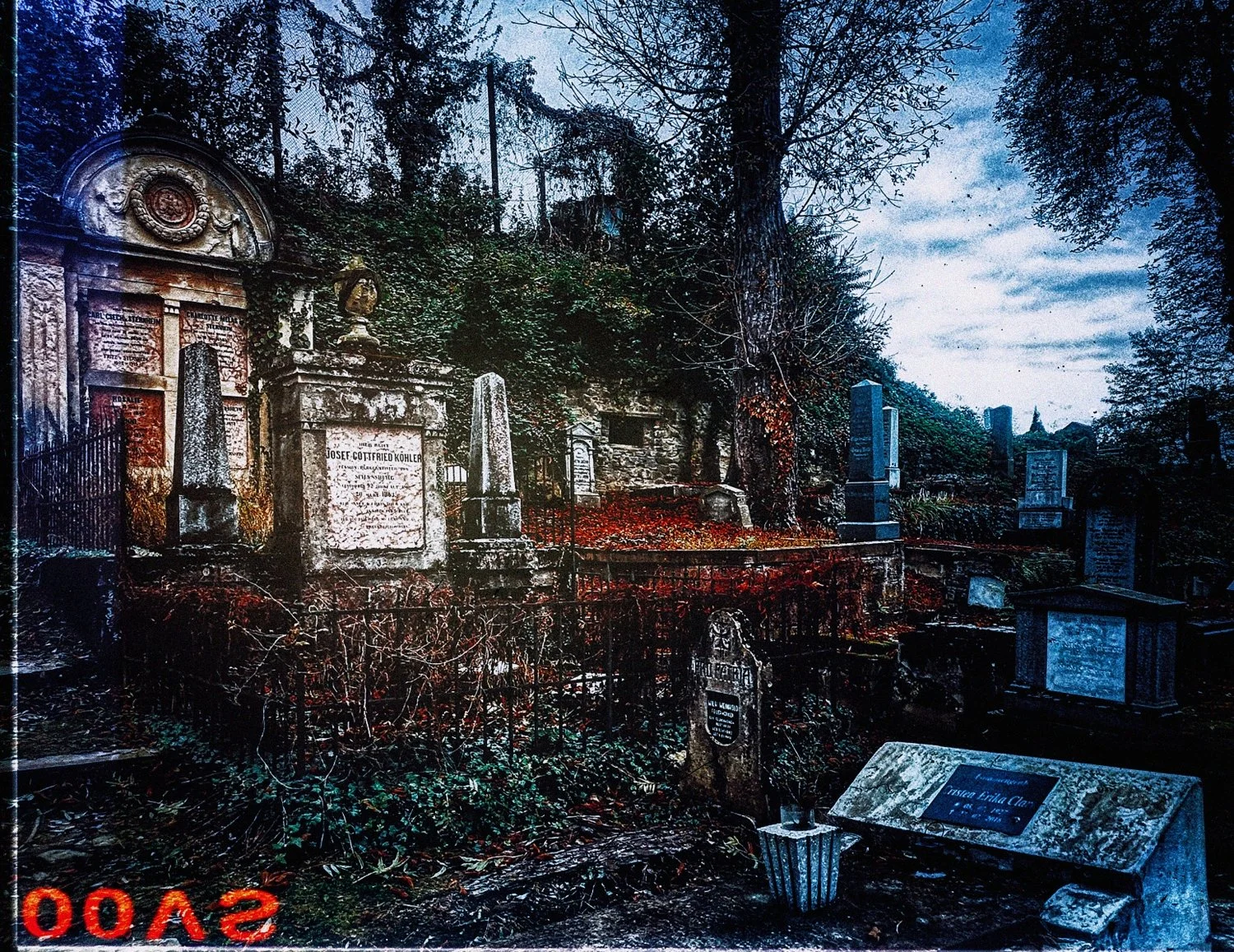 1-SIGHISOARA (37)_WEB.jpg