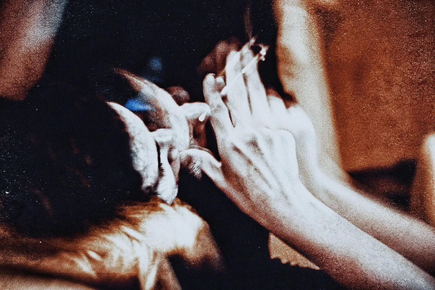 1-VICTIMS-2015 (34)_WEB.jpg