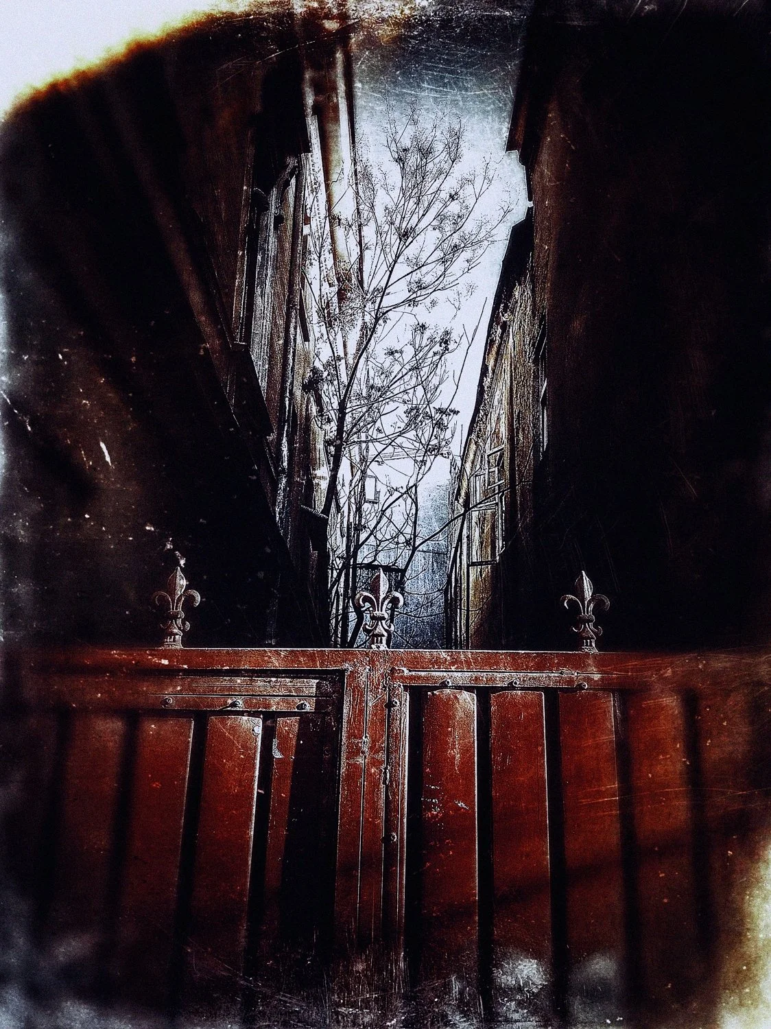 putrid space © Alexandra Crisbășan