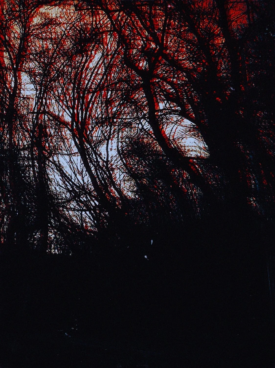 putrid space © Alexandra Crisbășan