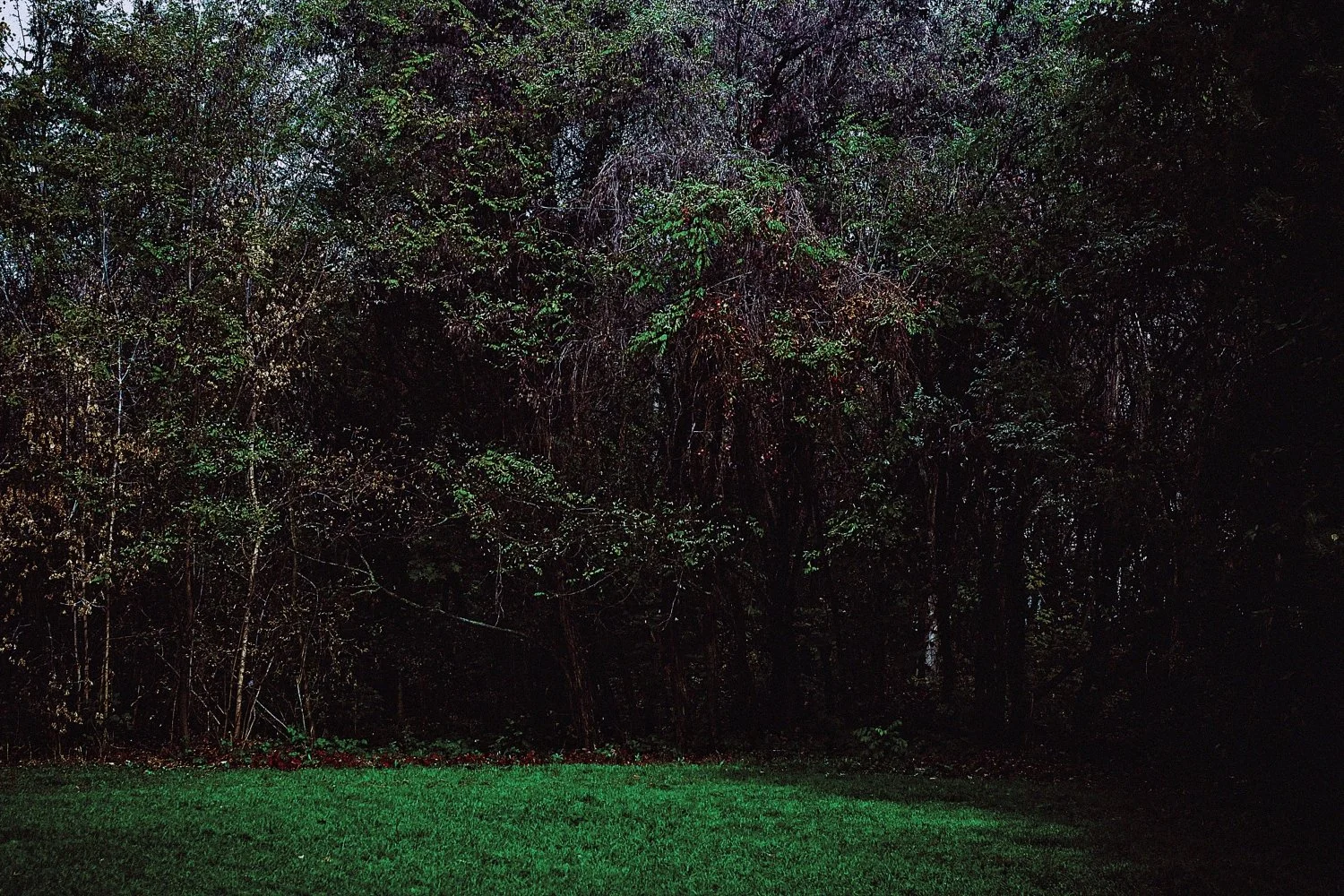 putrid space © Alexandra Crisbășan