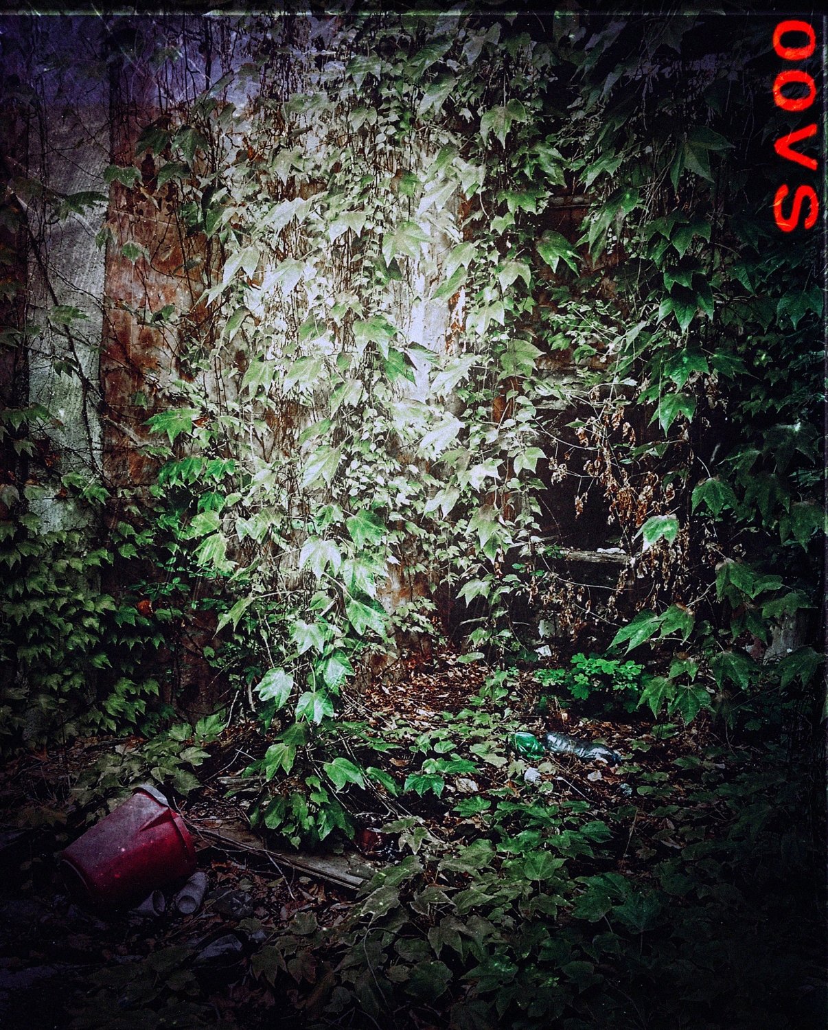 putrid space © Alexandra Crisbășan