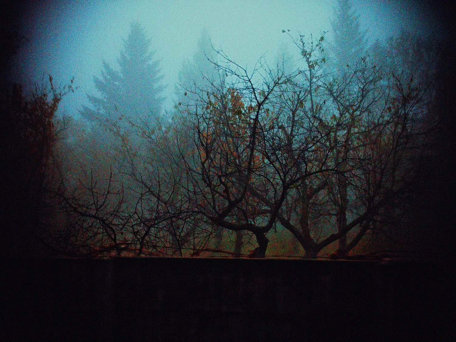 putrid space © Alexandra Crisbășan