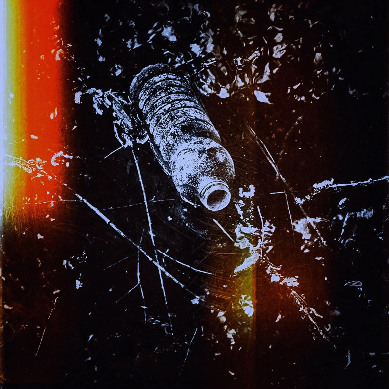 putrid space © Alexandra Crisbășan