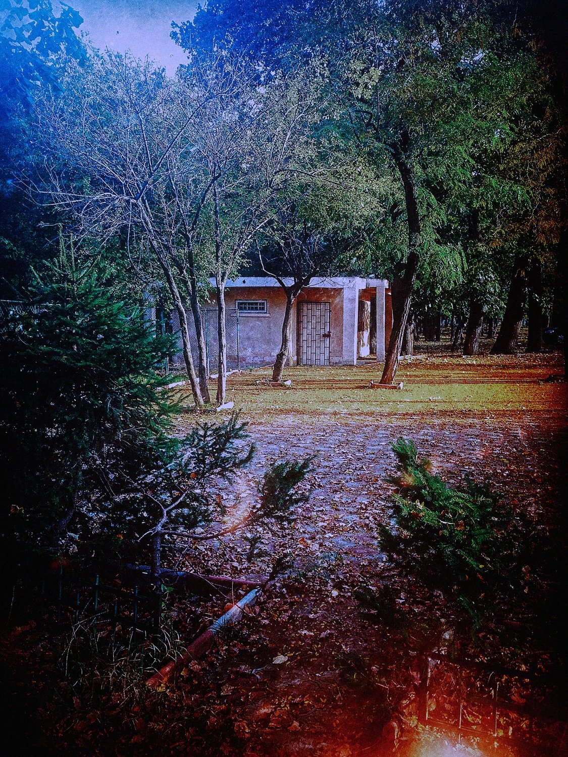 putrid space © Alexandra Crisbășan