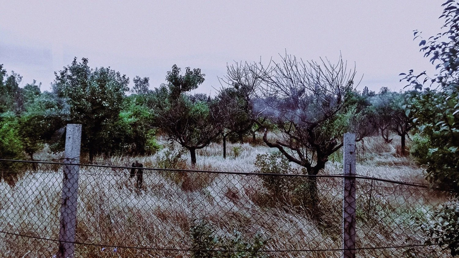 putrid space © Alexandra Crisbășan