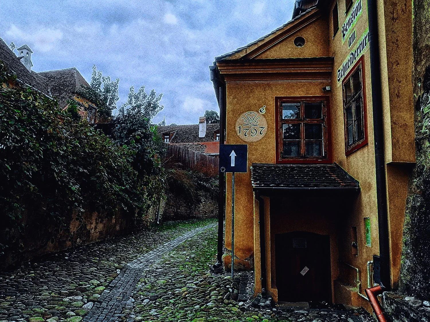 1-SIGHISOARA (15)_WEB.jpg