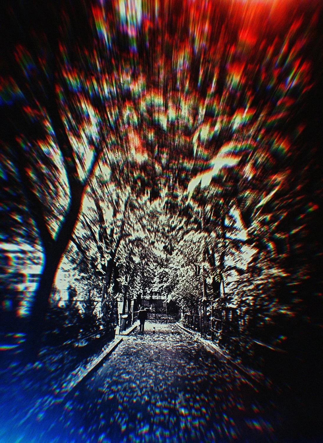 putrid space © Alexandra Crisbășan
