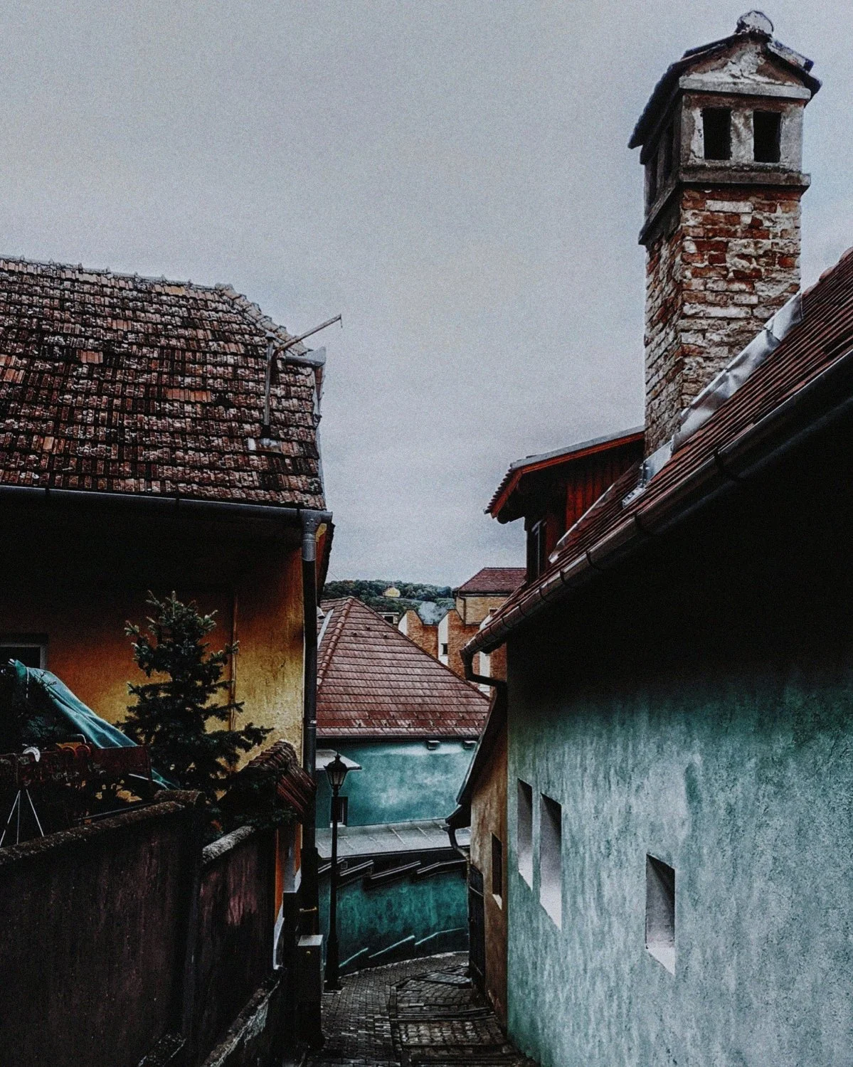 2-SIGHISOARA (8)_WEB.jpg