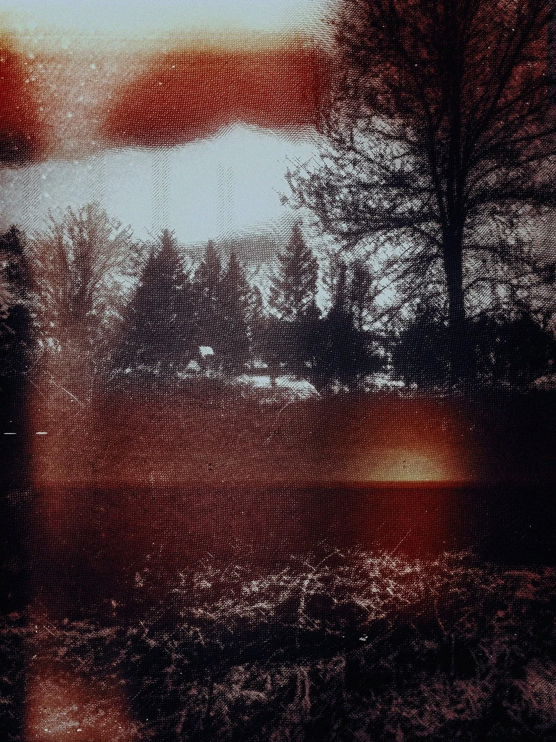 putrid space © Alexandra Crisbășan
