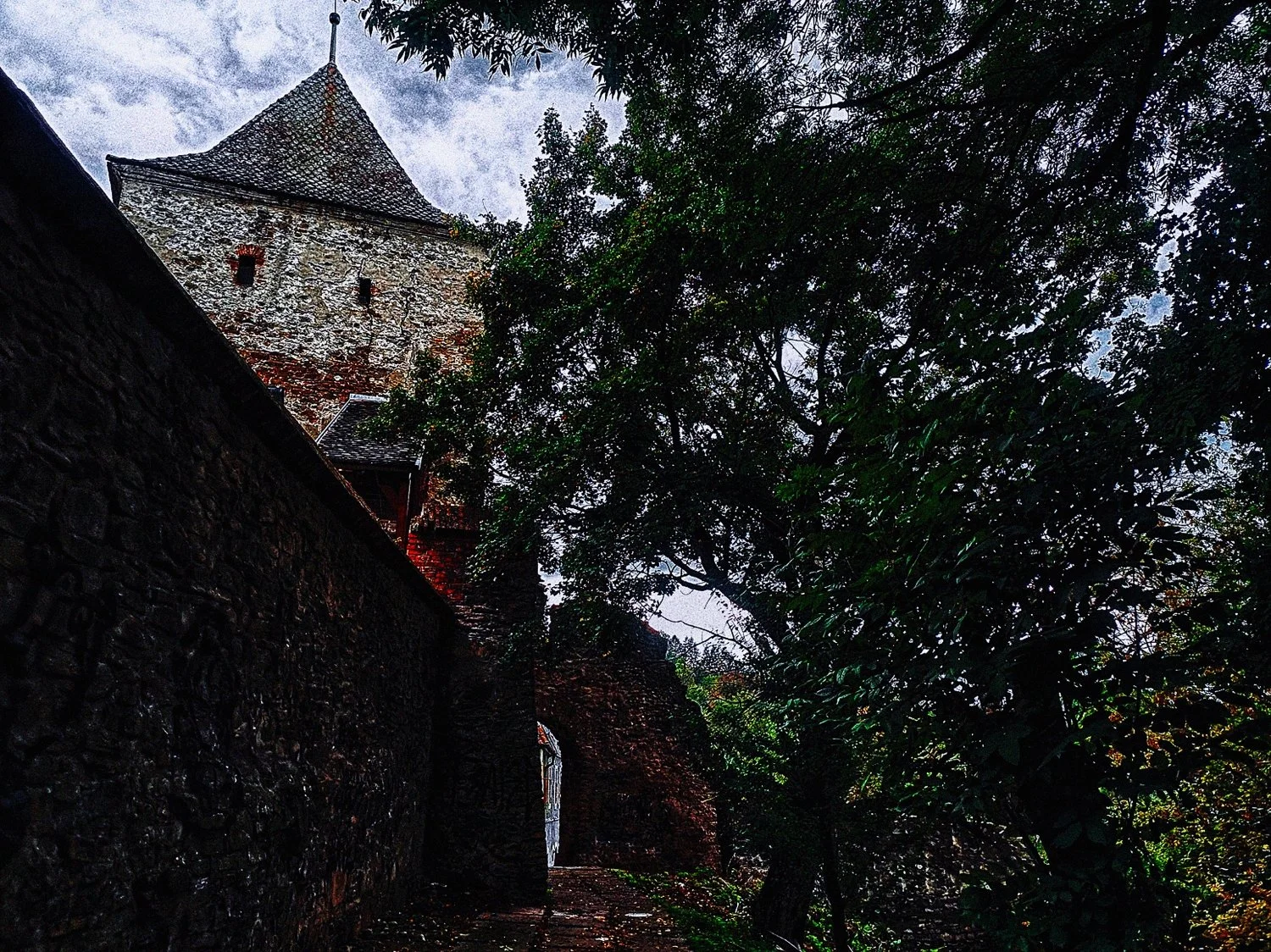 1-SIGHISOARA (13)_WEB.jpg