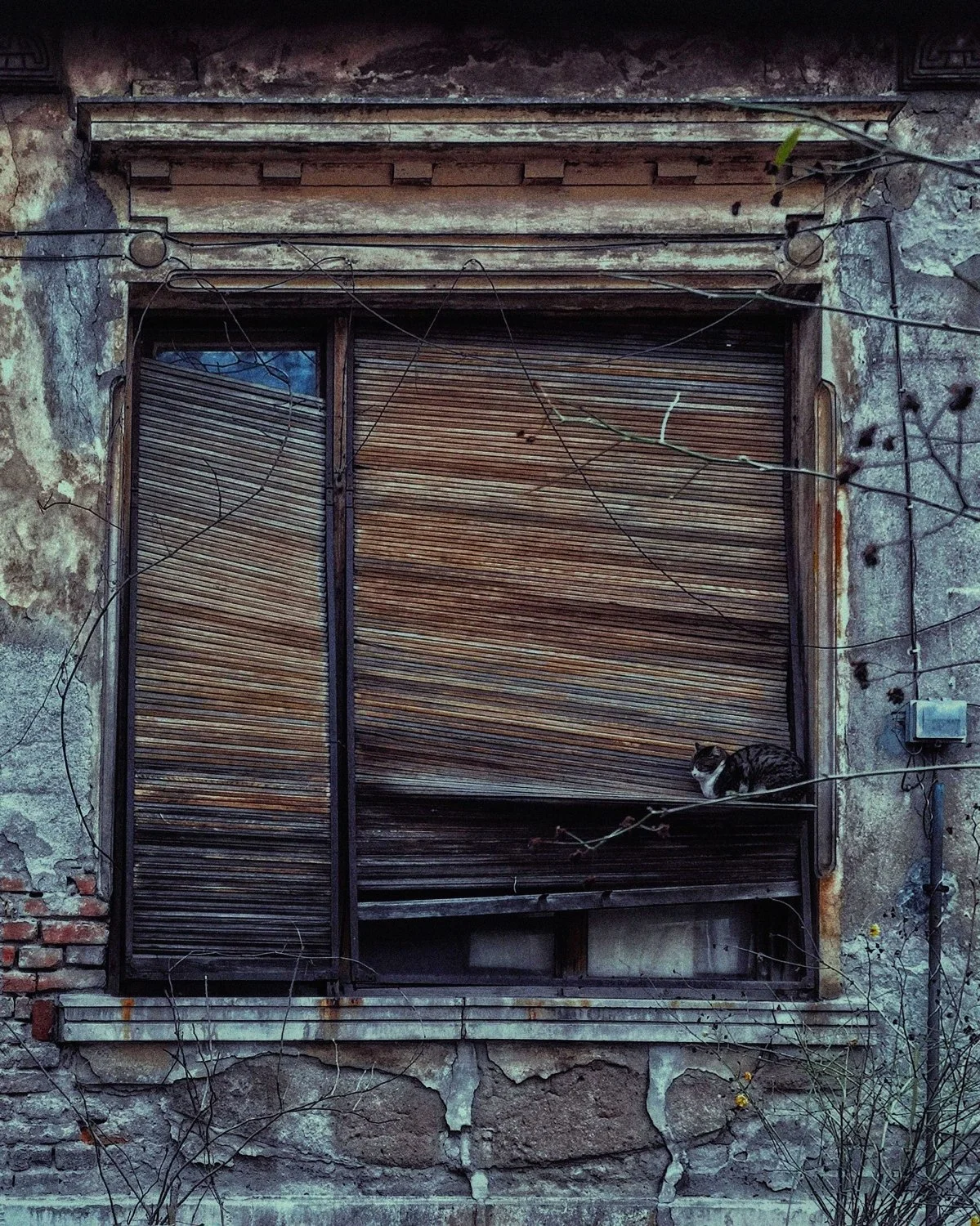 1-RUSE (6)_WEB.jpg