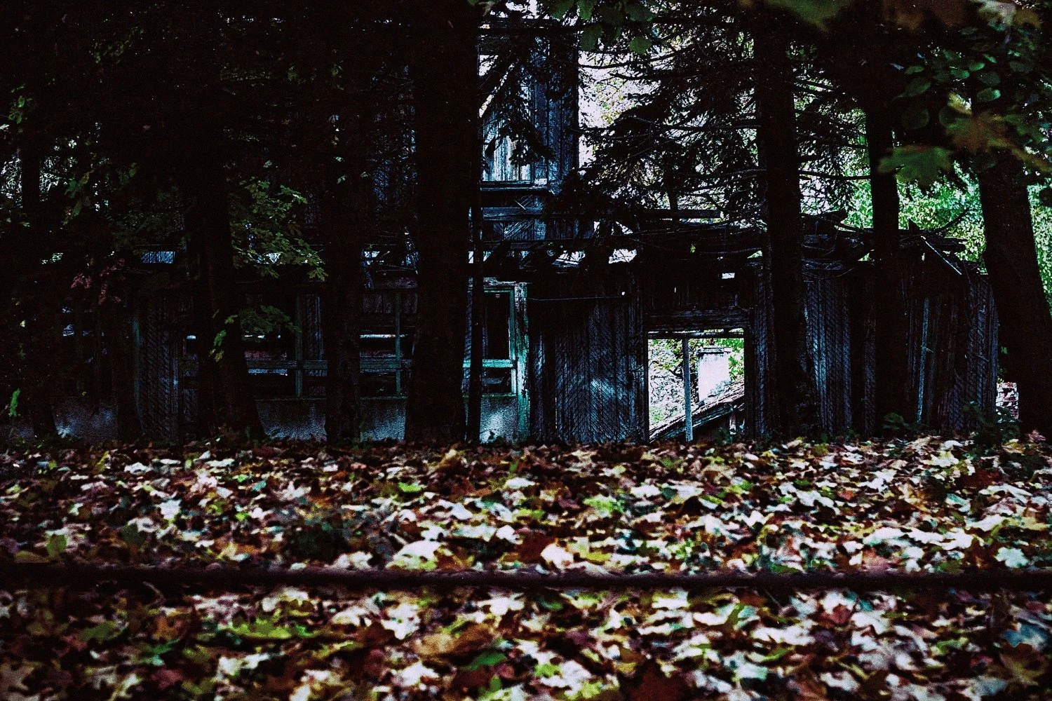 putrid space © Alexandra Crisbășan