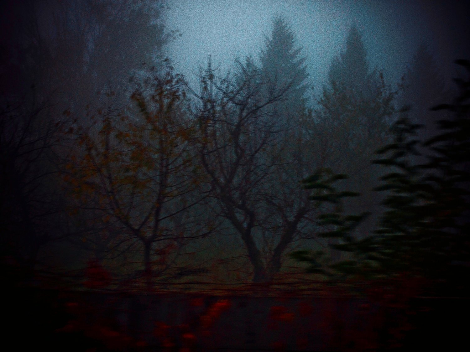 putrid space © Alexandra Crisbășan