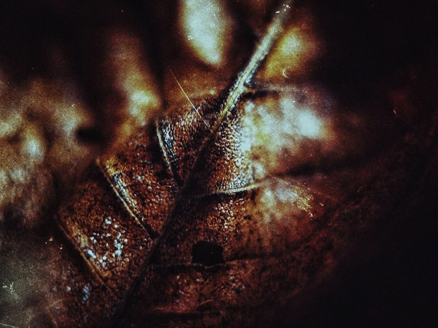 2-VICTIMS-2015-VICTIMS (23)_WEB.jpg