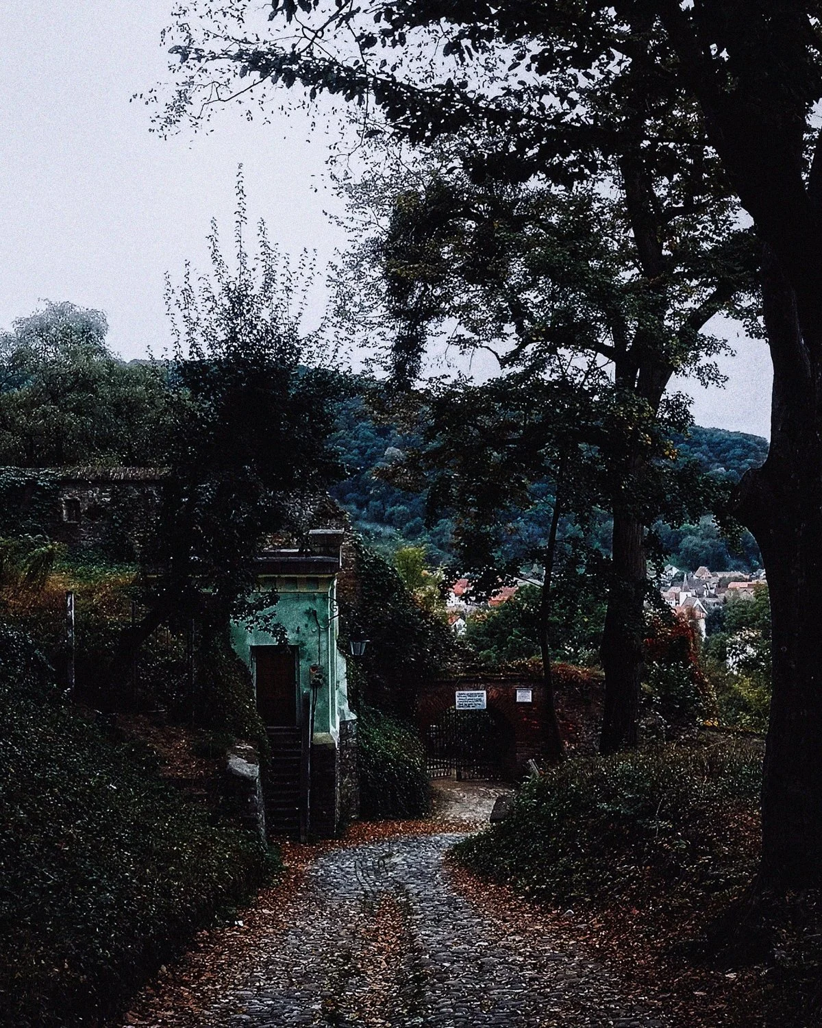 1-SIGHISOARA (30)_WEB.jpg