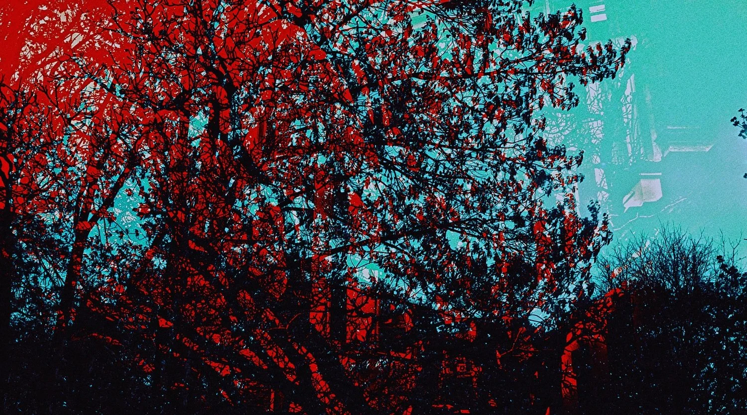 putrid space © Alexandra Crisbășan