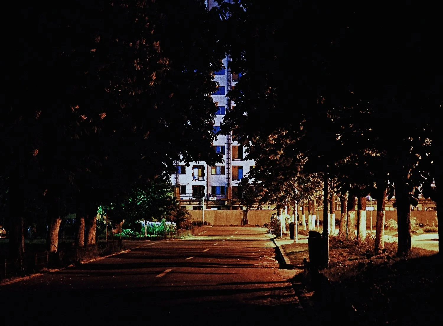 3-BUCHAREST-2017 (5)_WEB.jpg