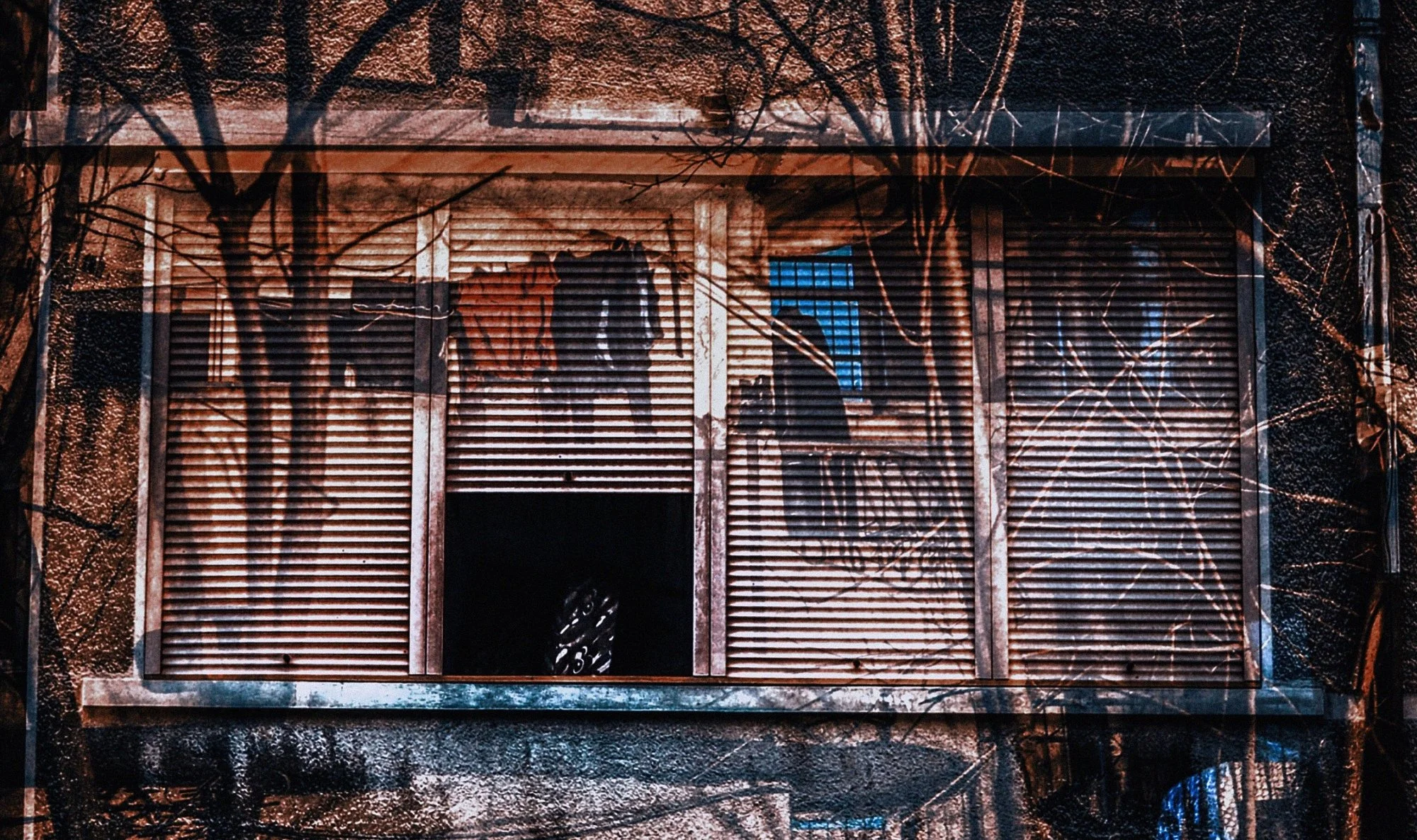 2018-BUCHAREST (35)_WEB.jpg