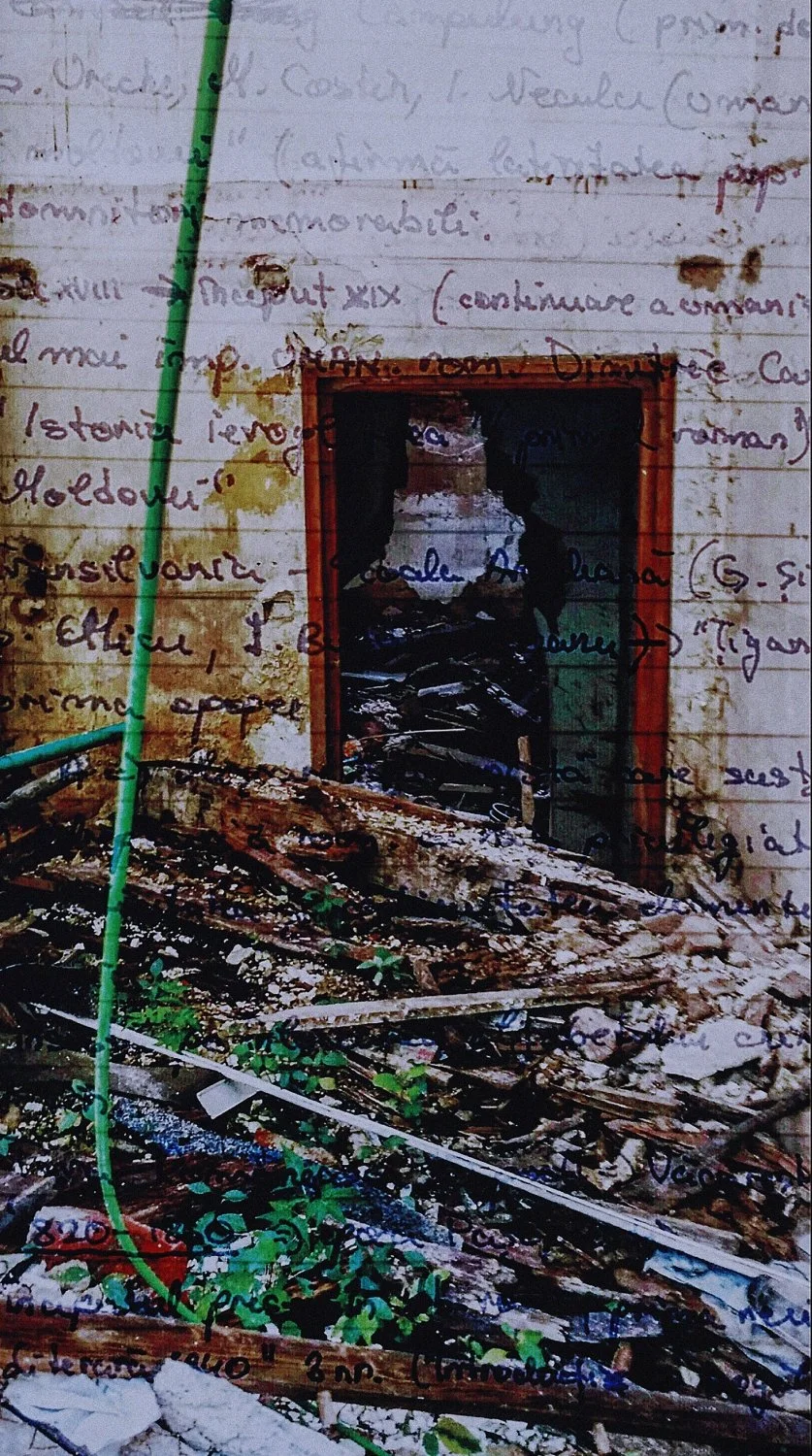 putrid space © Alexandra Crisbășan