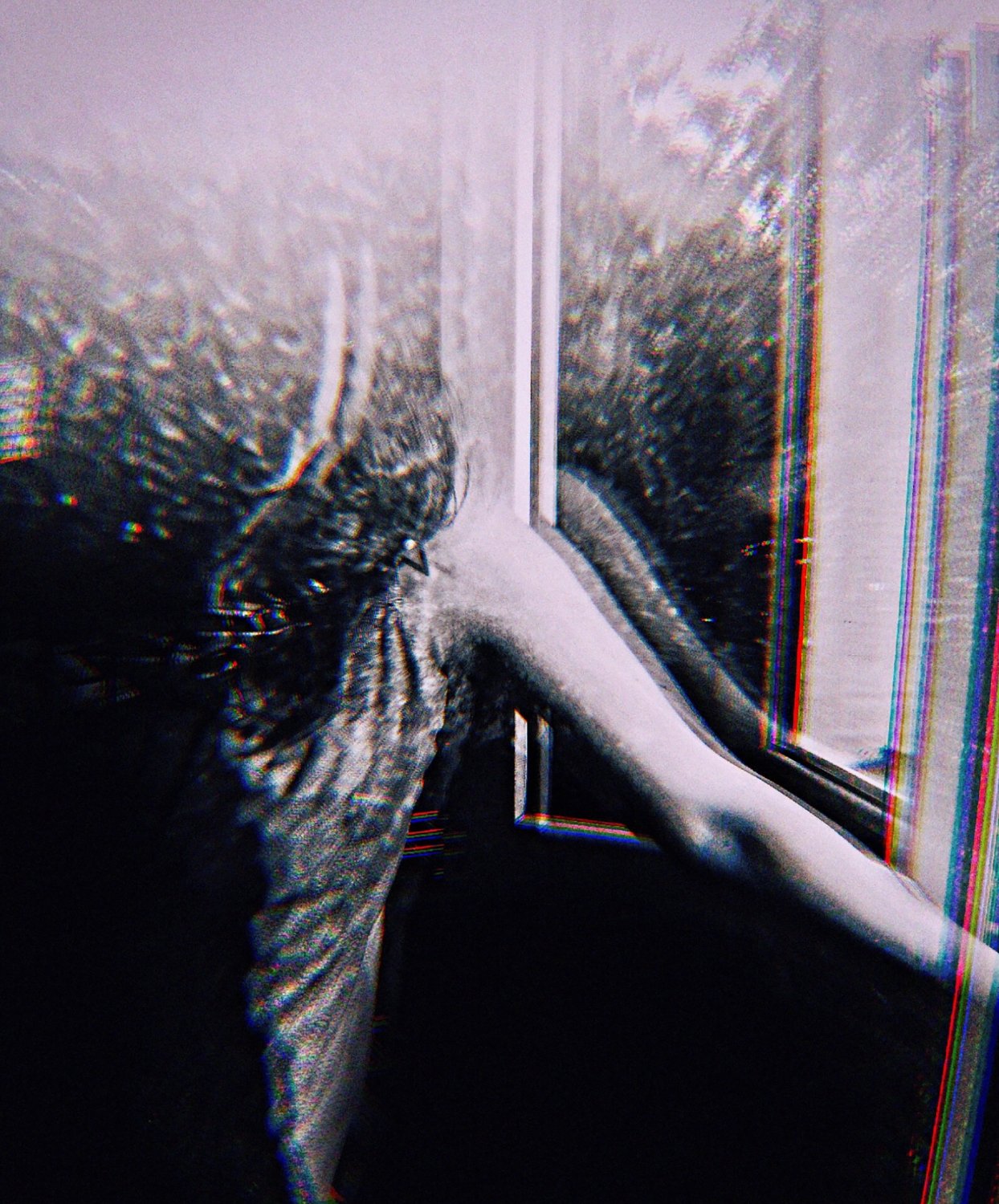 VICTIMS-2017 (44)_WEB.jpg